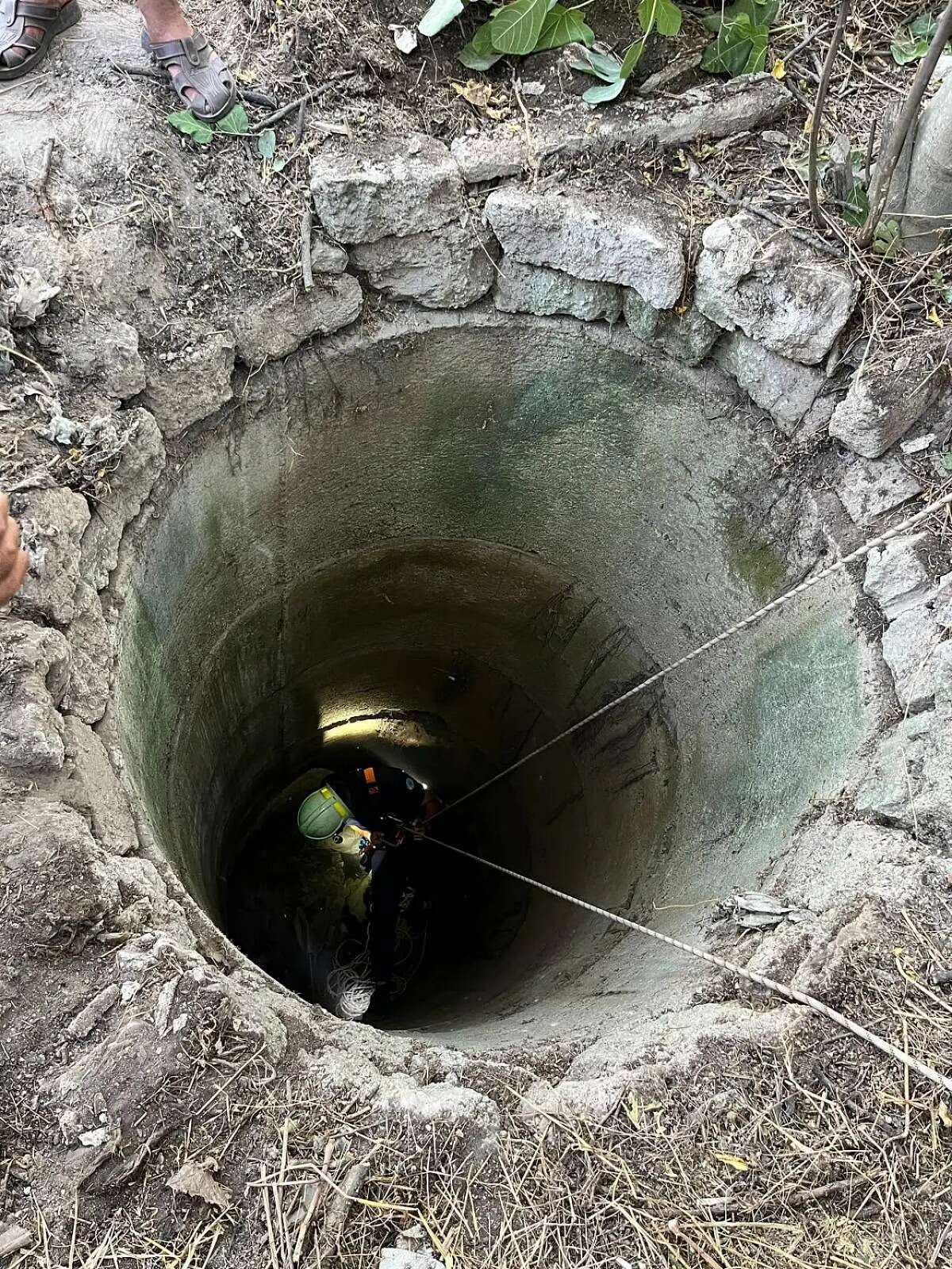 Muğla'da 11 Metrelik Kuyudan Can Dostuna Uzanan Kurtarma Eli 1